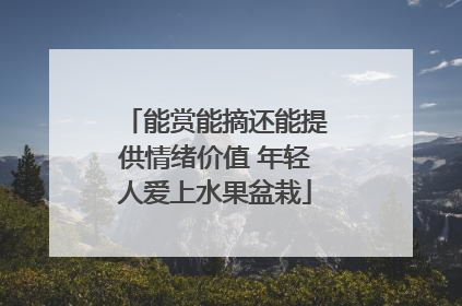 能赏能摘还能提供情绪价值 年轻人爱上水果盆栽