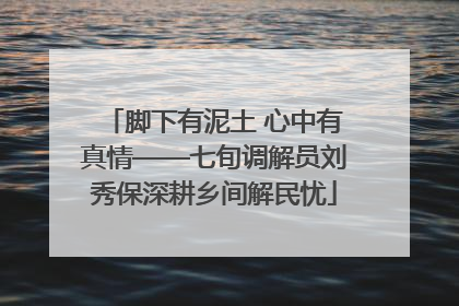 脚下有泥土 心中有真情——七旬调解员刘秀保深耕乡间解民忧