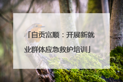 自贡富顺：开展新就业群体应急救护培训