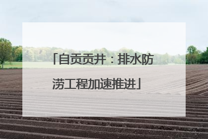 自贡贡井：排水防涝工程加速推进