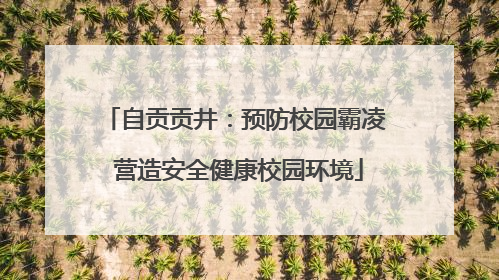 自贡贡井：预防校园霸凌 营造安全健康校园环境