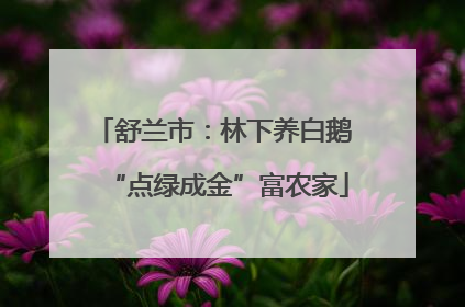 舒兰市：林下养白鹅 “点绿成金”富农家