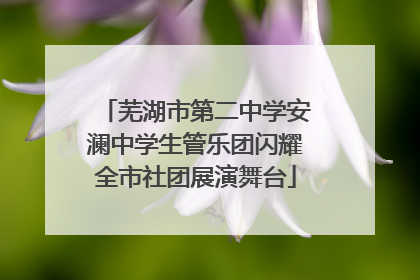 芜湖市第二中学安澜中学生管乐团闪耀全市社团展演舞台