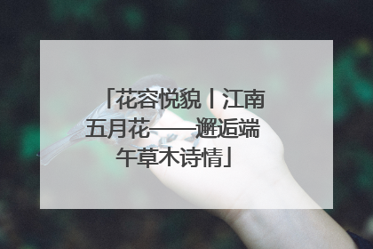 花容悦貌丨江南五月花——邂逅端午草木诗情