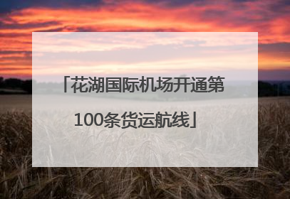 花湖国际机场开通第100条货运航线