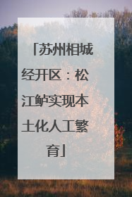 苏州相城经开区：松江鲈实现本土化人工繁育