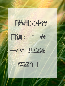 苏州吴中胥口镇：“一老一小”共享浓情端午