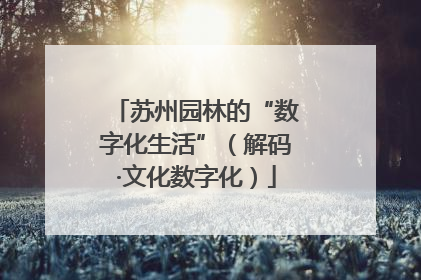 苏州园林的“数字化生活”（解码·文化数字化）