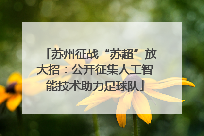 苏州征战“苏超”放大招：公开征集人工智能技术助力足球队