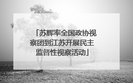 苏辉率全国政协视察团到江苏开展民主监督性视察活动