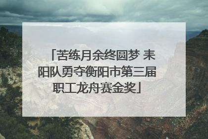 苦练月余终圆梦 耒阳队勇夺衡阳市第三届职工龙舟赛金奖