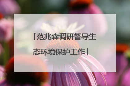 范兆森调研督导生态环境保护工作