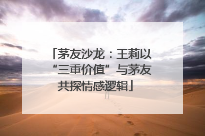 茅友沙龙：王莉以“三重价值”与茅友共探情感逻辑
