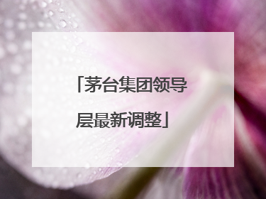 茅台集团领导层最新调整