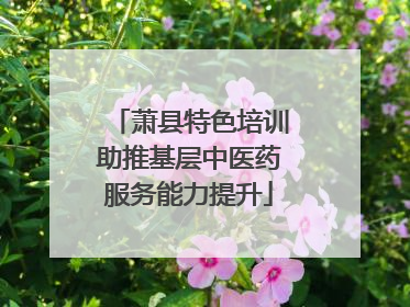 萧县特色培训助推基层中医药服务能力提升