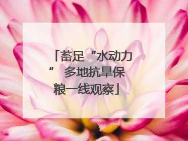 蓄足“水动力” 多地抗旱保粮一线观察