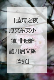 蓝莓之夜点亮东夷小镇 非遗雅韵开启文旅盛宴