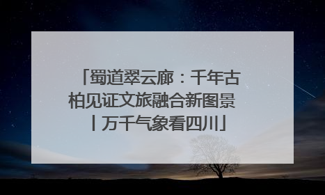 蜀道翠云廊：千年古柏见证文旅融合新图景丨万千气象看四川