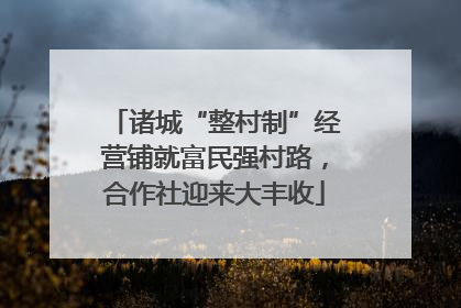 诸城“整村制”经营铺就富民强村路，合作社迎来大丰收