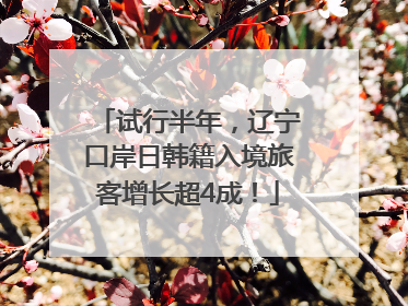 试行半年，辽宁口岸日韩籍入境旅客增长超4成！