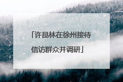 许昆林在徐州接待信访群众并调研