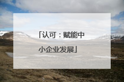认可：赋能中小企业发展