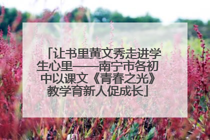 让书里黄文秀走进学生心里——南宁市各初中以课文《青春之光》教学育新人促成长