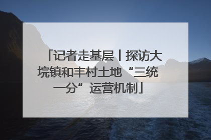 记者走基层丨探访大垸镇和丰村土地“三统一分”运营机制
