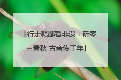 行走赣鄱看非遗：斫琴三春秋 古音传千年