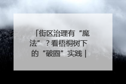 街区治理有“魔法”？看梧桐树下的“破圈”实践｜我在街区当书记