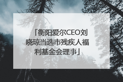 衡阳爱尔CEO刘晓琼当选市残疾人福利基金会理事