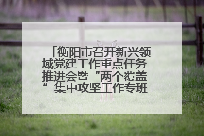 衡阳市召开新兴领域党建工作重点任务推进会暨“两个覆盖”集中攻坚工作专班 第一次会议