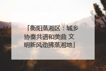衡阳蒸湘区：城乡协奏共谱和美曲 文明新风劲拂蒸湘地