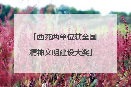 西充两单位获全国精神文明建设大奖