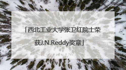 西北工业大学张卫红院士荣获J.N.Reddy奖章