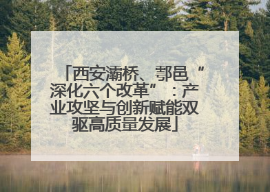 西安灞桥、鄠邑“深化六个改革”：产业攻坚与创新赋能双驱高质量发展