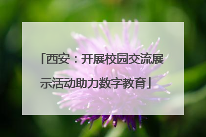西安：开展校园交流展示活动助力数字教育