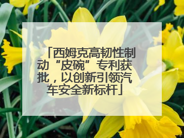 西姆克高韧性制动“皮碗”专利获批，以创新引领汽车安全新标杆