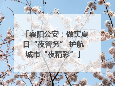 襄阳公安：做实夏日“夜警务” 护航城市“夜精彩”