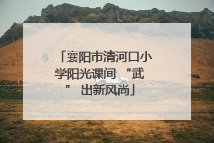 襄阳市清河口小学阳光课间 “武” 出新风尚