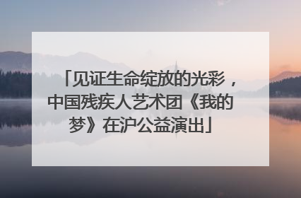见证生命绽放的光彩，中国残疾人艺术团《我的梦》在沪公益演出