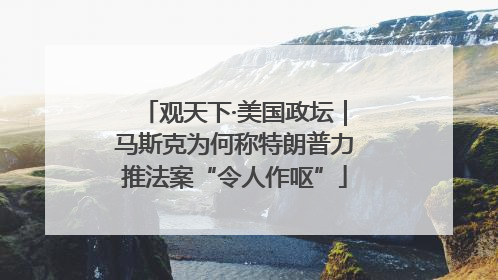 观天下·美国政坛｜马斯克为何称特朗普力推法案“令人作呕”