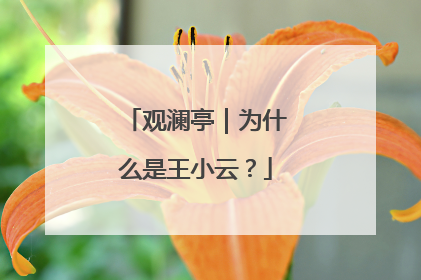 观澜亭｜为什么是王小云？