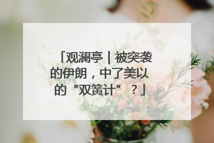 观澜亭｜被突袭的伊朗，中了美以的“双簧计”？