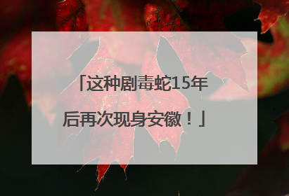 这种剧毒蛇15年后再次现身安徽！