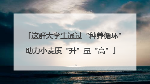 这群大学生通过“种养循环”助力小麦质“升”量“高”