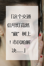 这个交通信号灯竟然“藏”树上！市民盼解决……