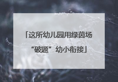 这所幼儿园用绿茵场“破题”幼小衔接