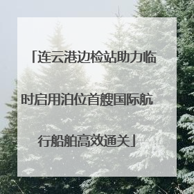 连云港边检站助力临时启用泊位首艘国际航行船舶高效通关