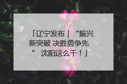 辽宁发布｜“振兴新突破 决胜勇争先” 沈阳这么干！